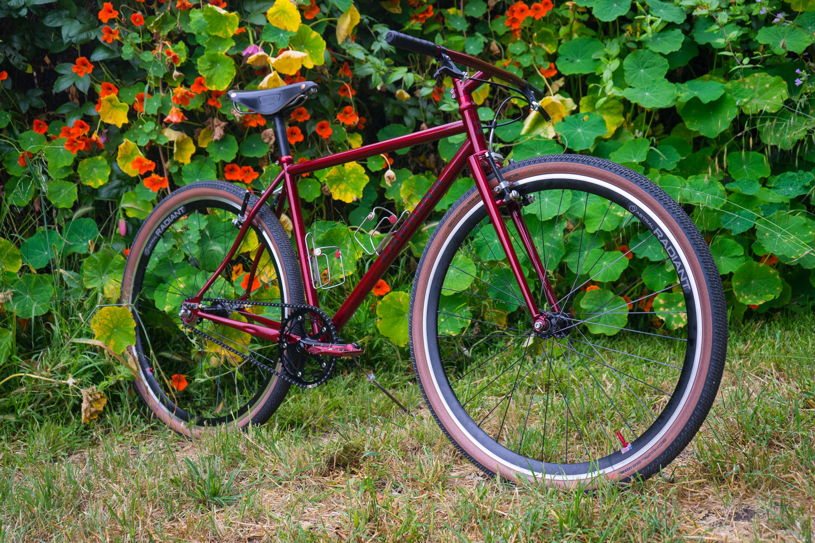 Red single-speed bike among nasturtiums