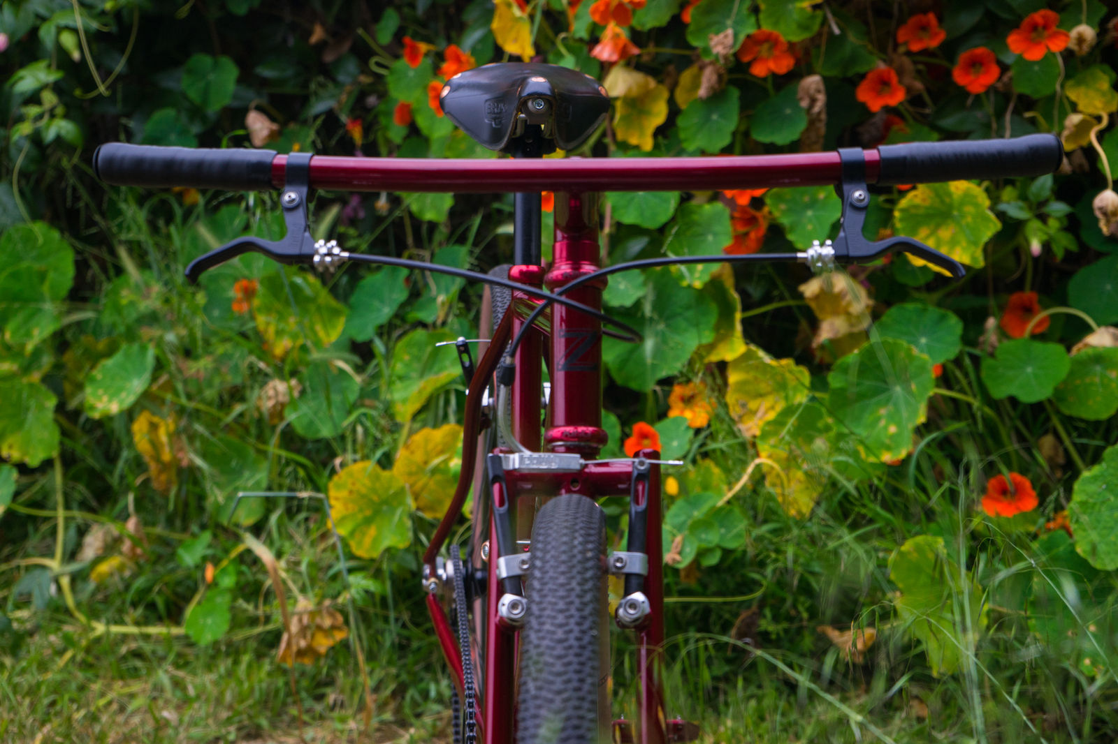 Red commuter handlebars from the front