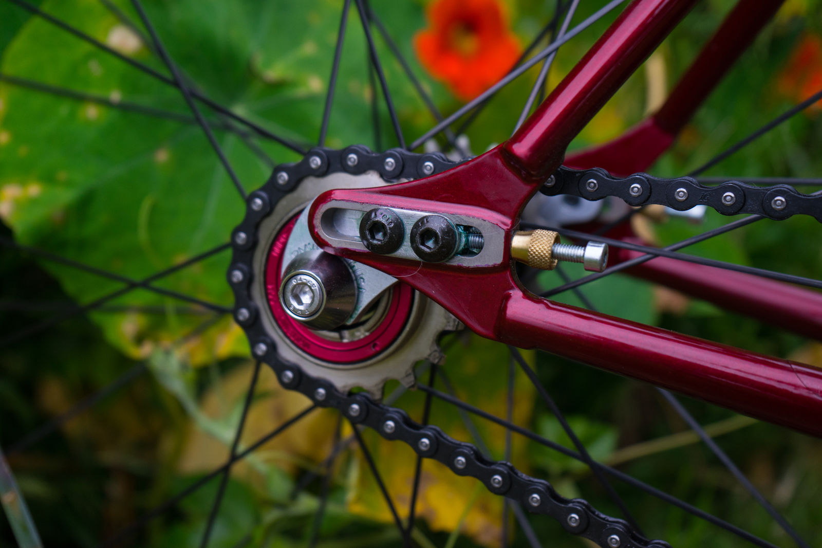 Sliding dropout and single-speed cog